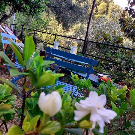 B&B I Glicini Vescina Экстерьер фото