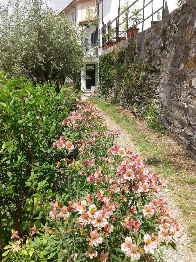 B&B I Glicini Vescina Экстерьер фото
