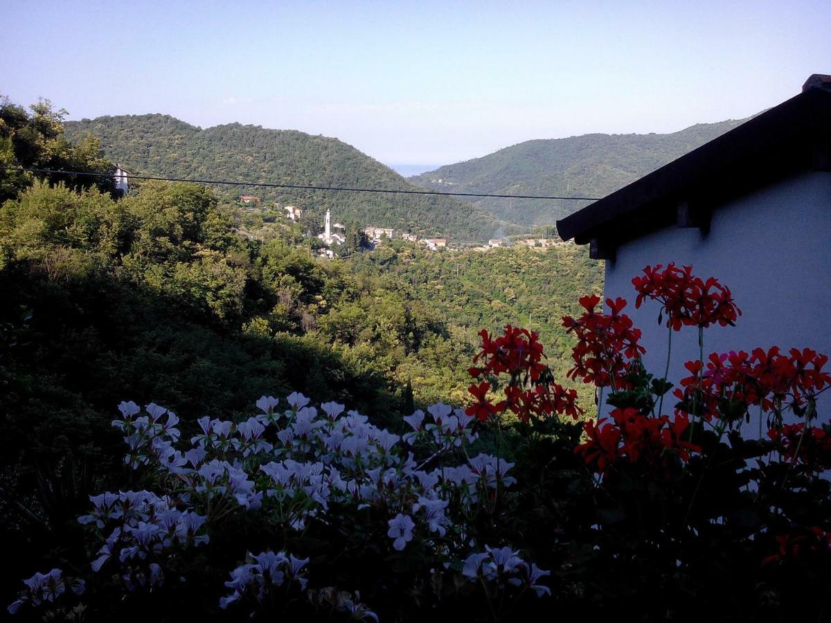 B&B I Glicini Vescina Экстерьер фото