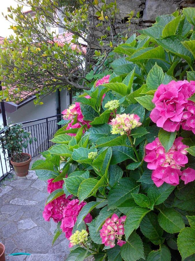 B&B I Glicini Vescina Экстерьер фото
